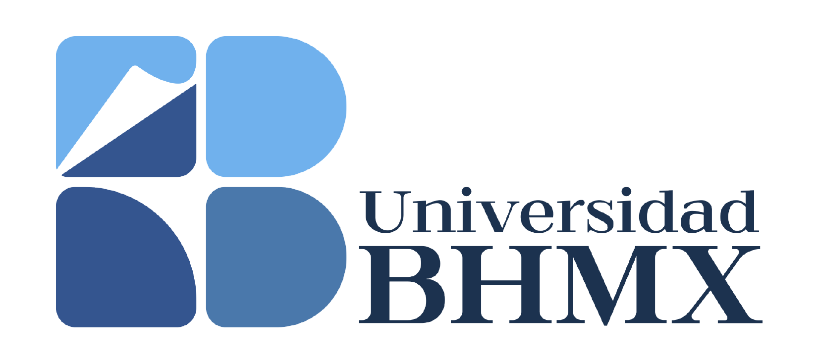 Universidad Besins